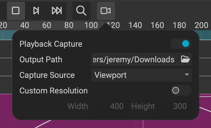 dope_sheet_playback_capture_setttings.png