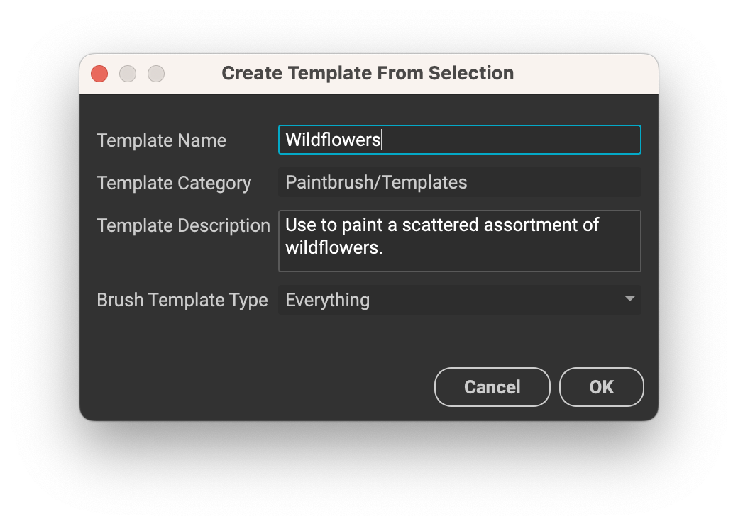 brush_templates_create_template_from_selection_dialog.png